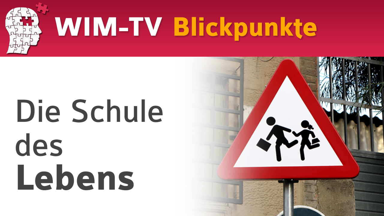 Die Schule des Lebens