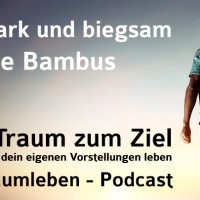 Der Traumleben-Podcast, Stark und Biegsam wie Bambus