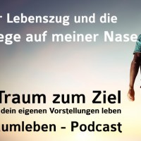 Der Traumleben-Podcast, Der Lebenszug und die Fliege auf meiner Nase