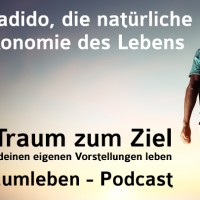 Der Traumleben-Podcast, Gradido, die natürliche Ökonomie des Lebens